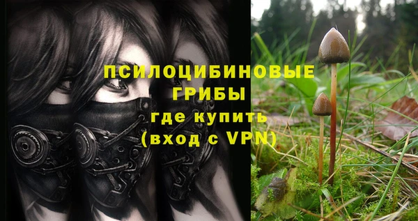 молекула духа Вязьма